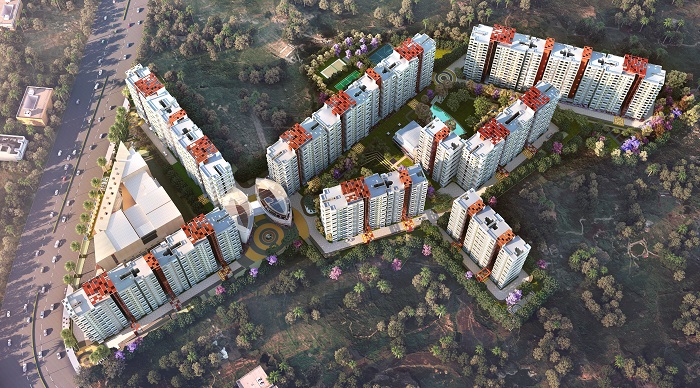 park cubix bird view